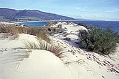 Costa da Luz - Tarifa Beach 